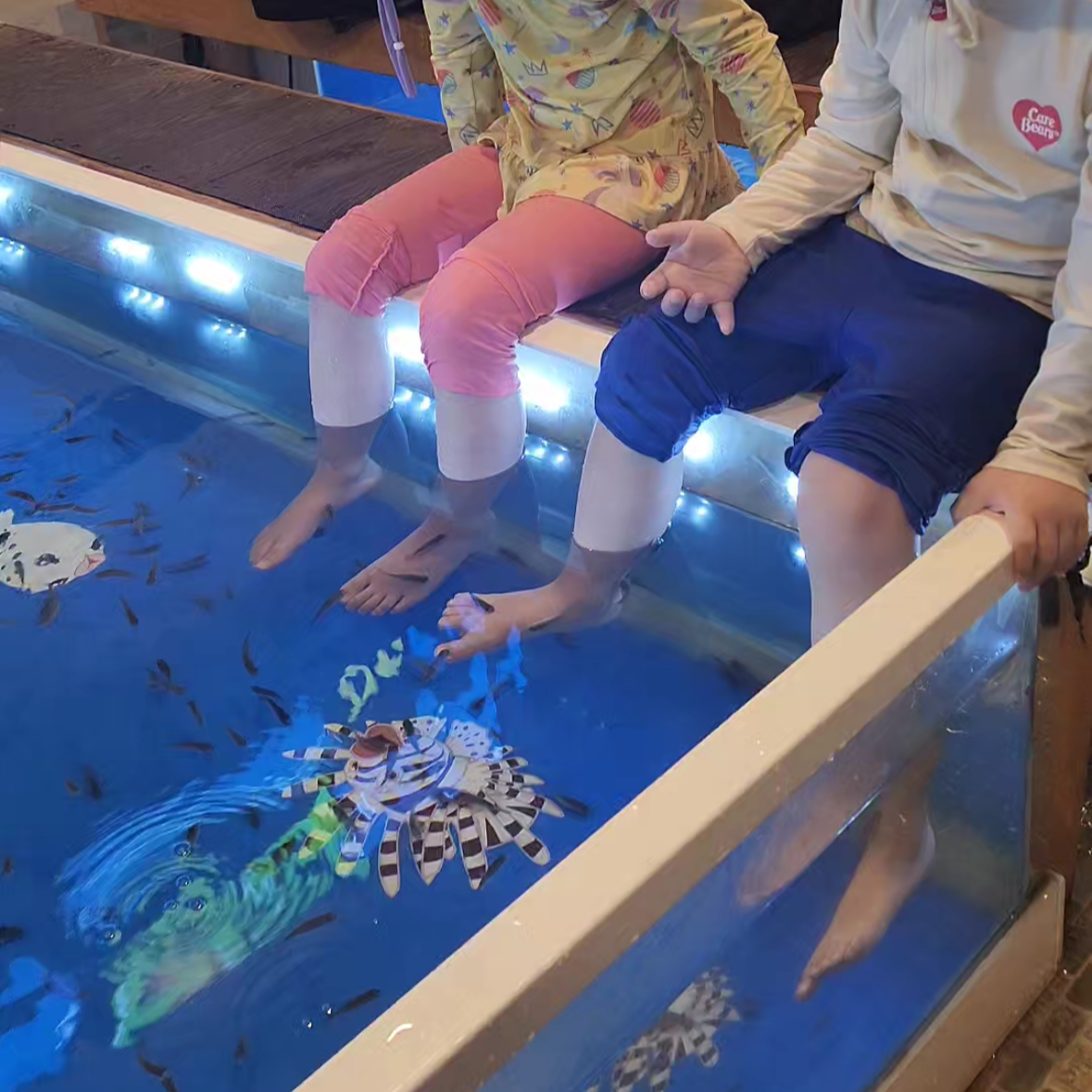 물놀이 안에 피싱물고기있어서 발담그기