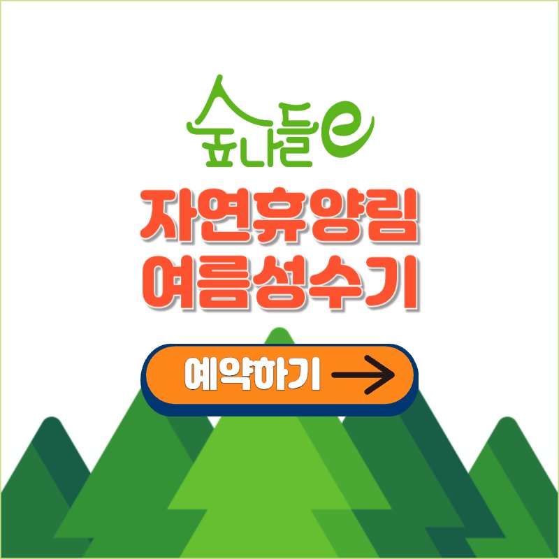 국립 자연휴양림 여름 성수기 예약하기