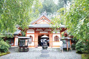 교토 여행 추천 산젠인