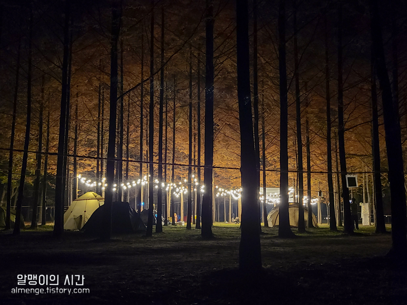#9 남이섬 단풍 백패킹 :: 트레킹 온 아일랜드 후기 #9 남이섬 단풍 백패킹 :: 트레킹 온 아일랜드 후기