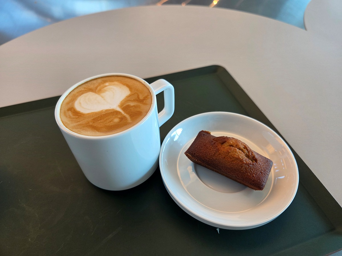 강화도 대형카페 두운리, 초록의 목수국 정원까지 즐기는 강화도 갈만한곳