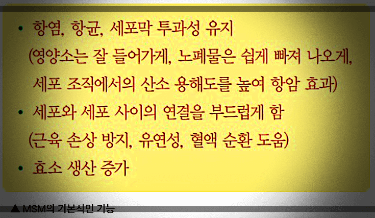 식이유황-MSM-기본-기능