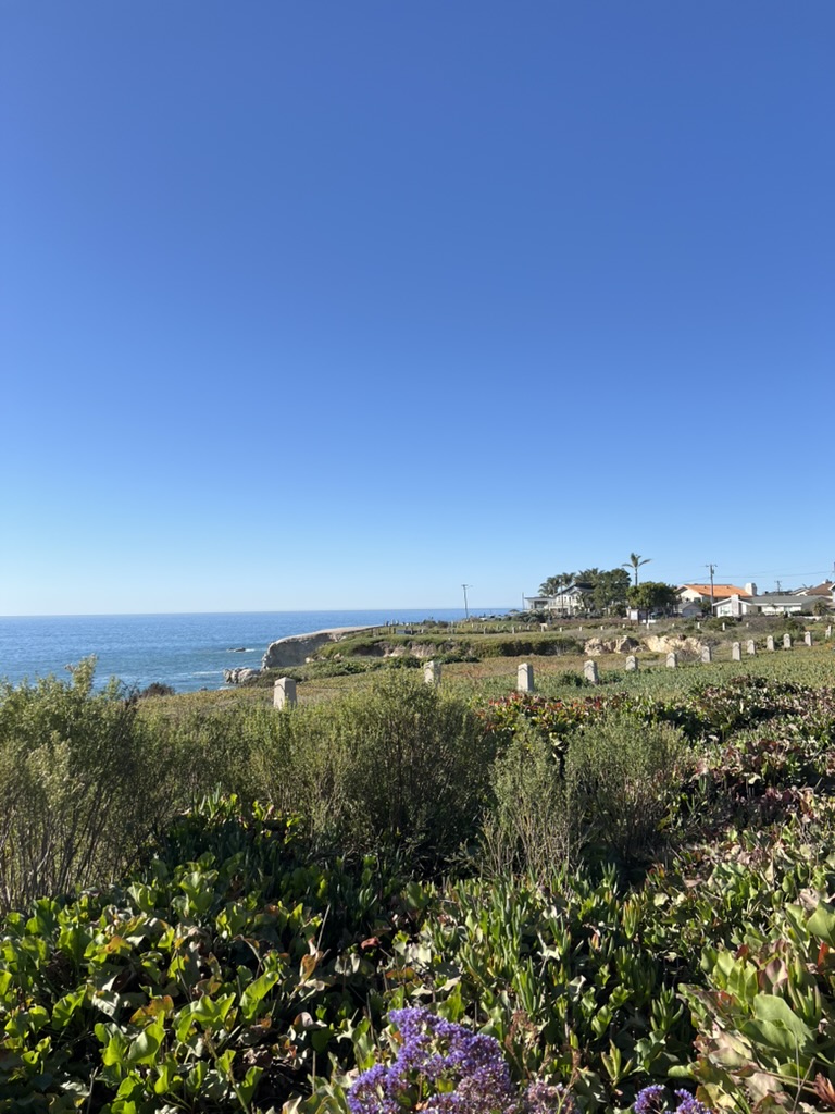 다이너소어 케이브 공원1