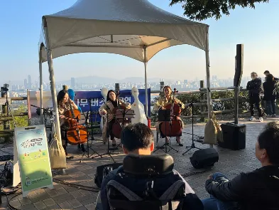서울억새축제