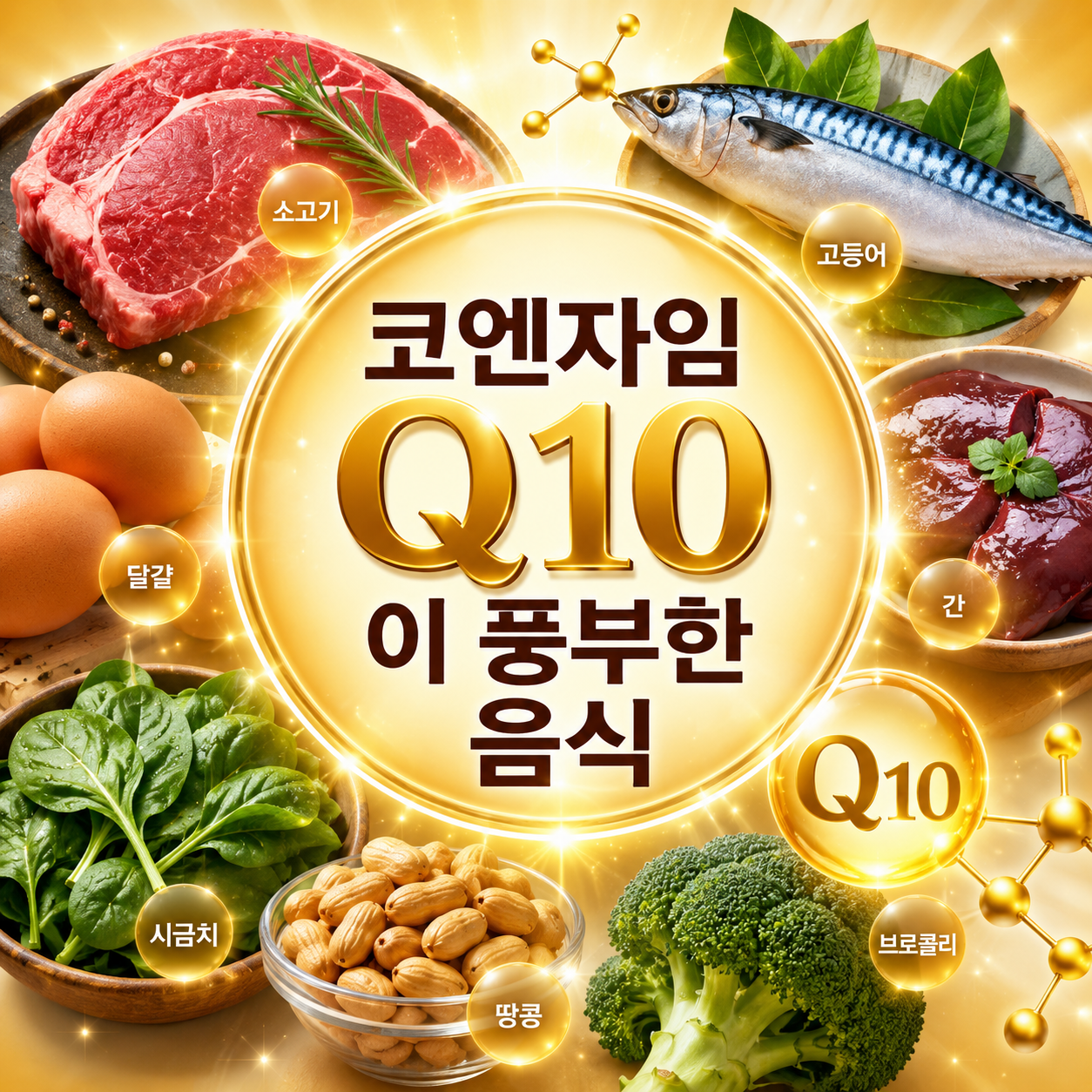 코엔자임Q10이 풍부한 음식