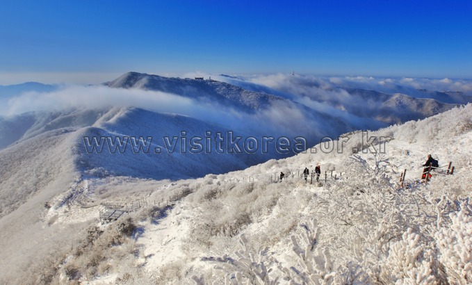 영주 가볼만한곳 베스트10