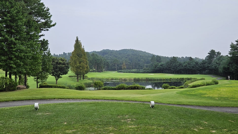 골프장 경험담 여주 세라지오CC 자연 속에서 즐기는 프리미엄 퍼블릭 골프장의 품격