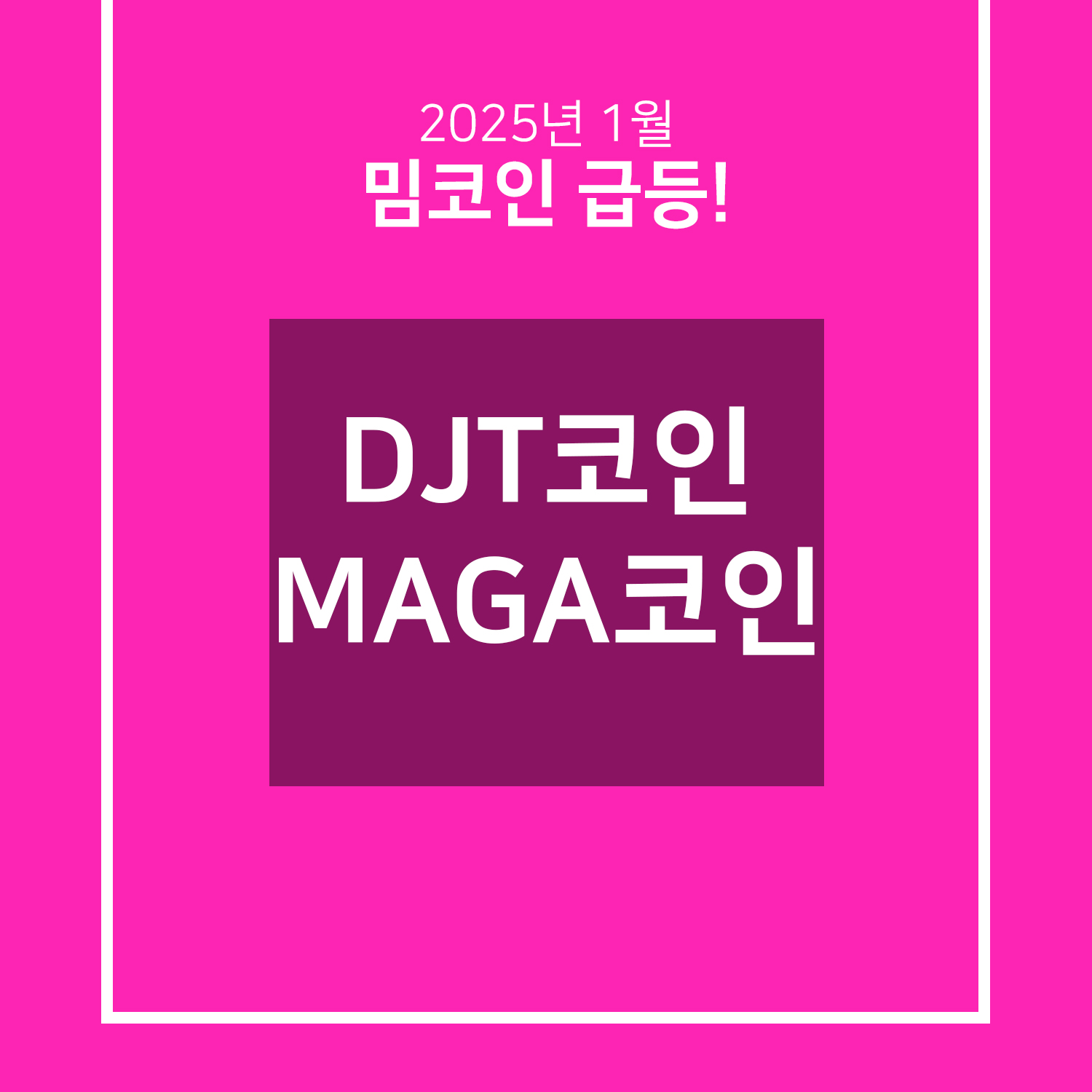 밈코인 급등 설명 이미지