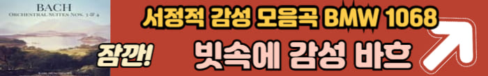 서정적 바흐