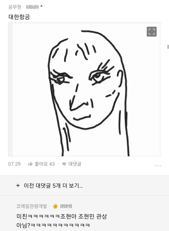 직업별 외모 그림 대한항공