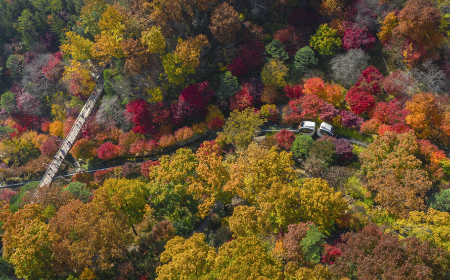 화담숲 모노레일