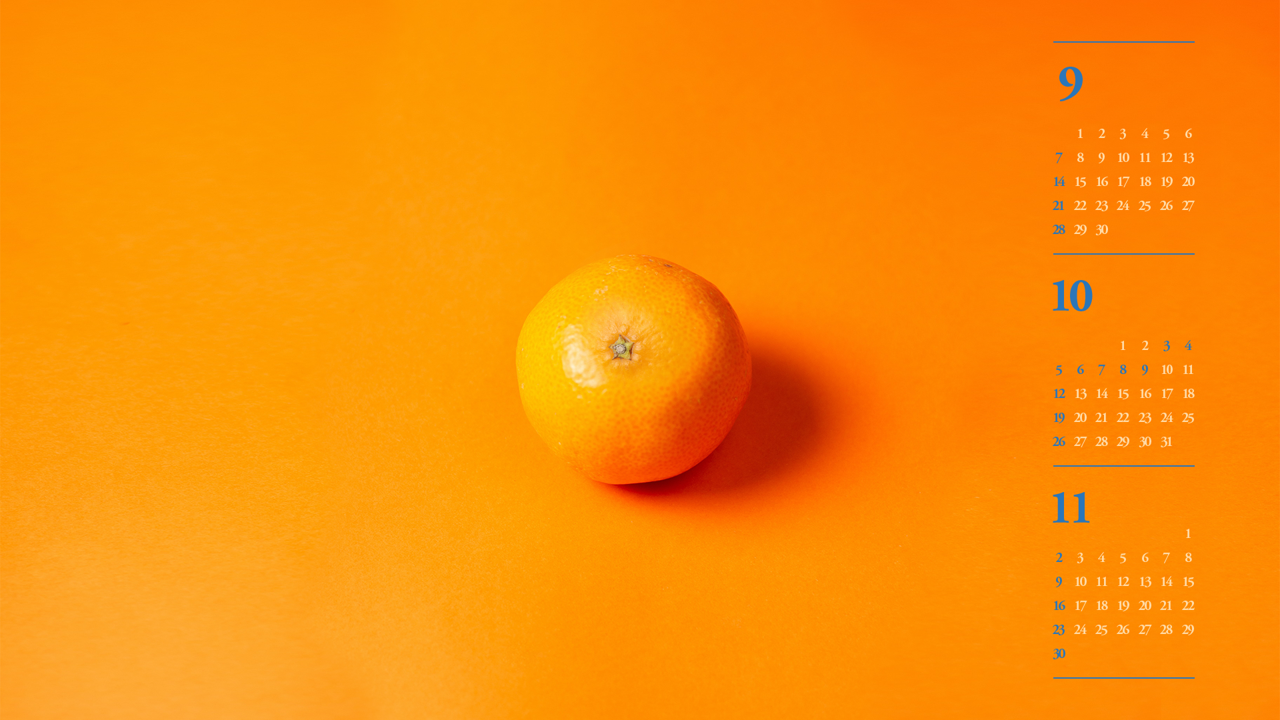 03 귤 B - 2025년10월 노트북배경화면