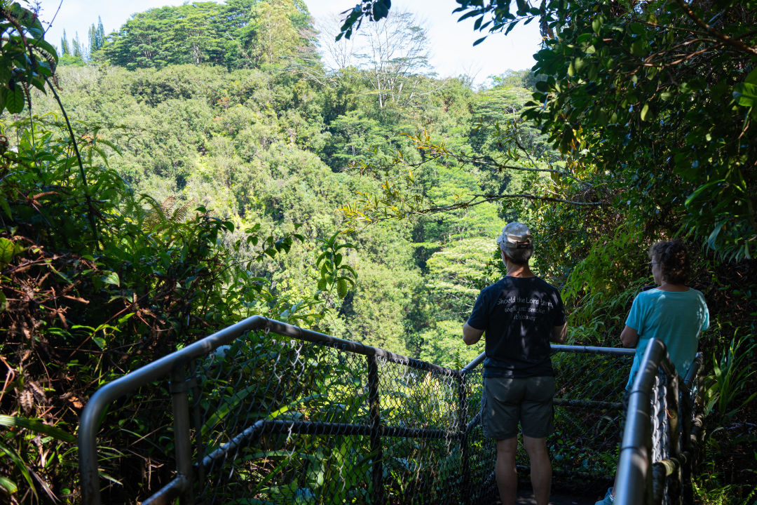 아카카 폭포 카하나 폭포