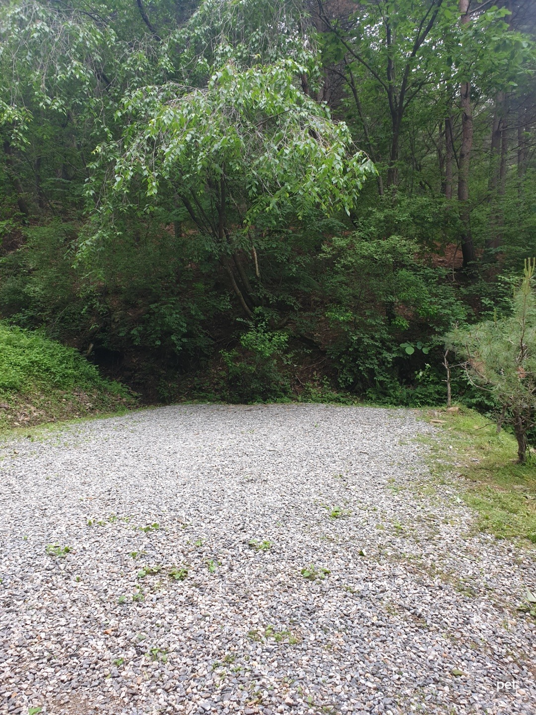 경기-동두천-돈내미캠핑장-예약-방법-애견-동반-가격-주소-시간-후기