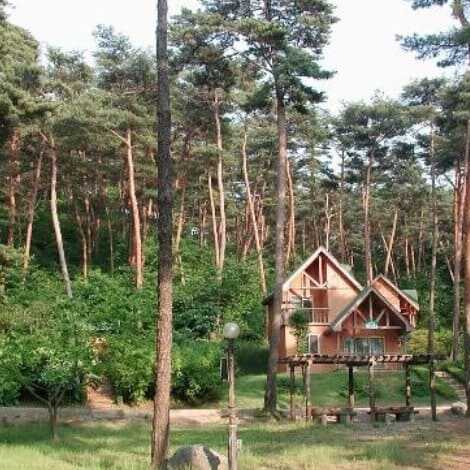 안면도자연휴양림