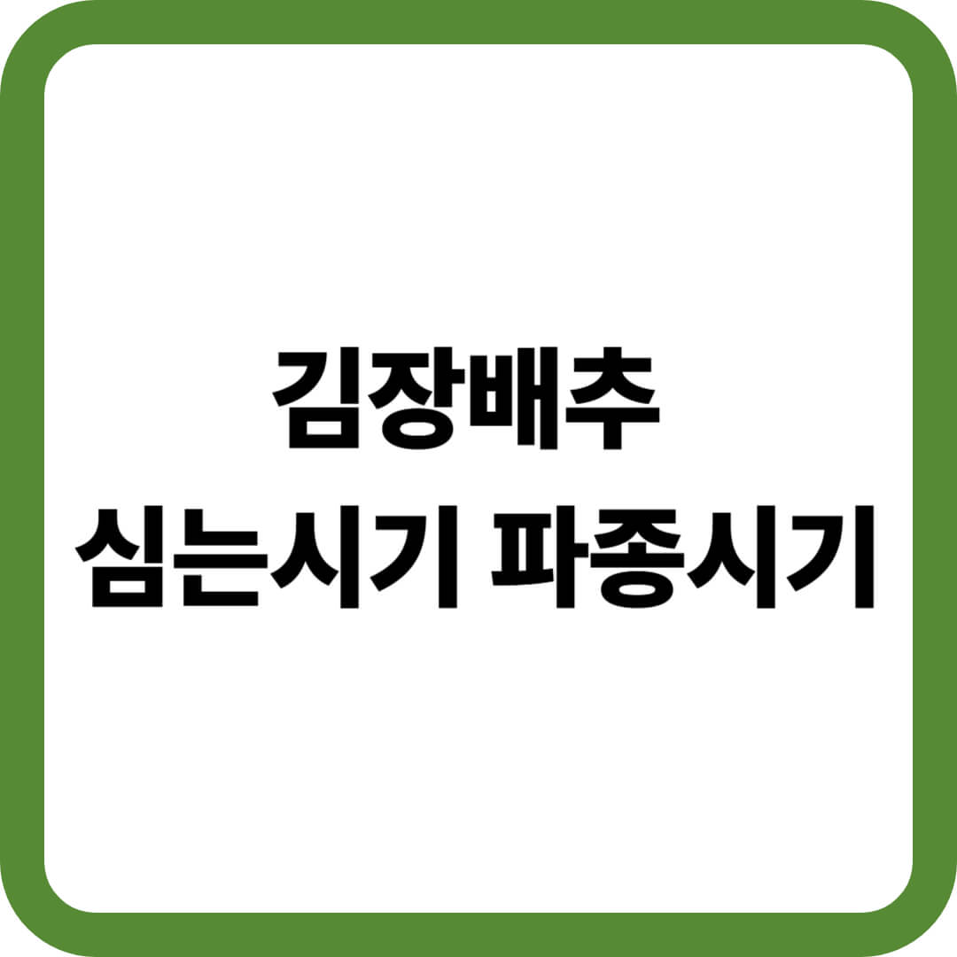 김장배추 심는시기 파종시기