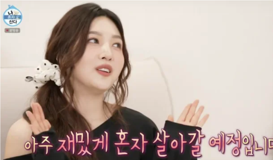 레드벨벳 조이의 홈케어 루틴 공개! (나혼산 조이 고주파 부황)