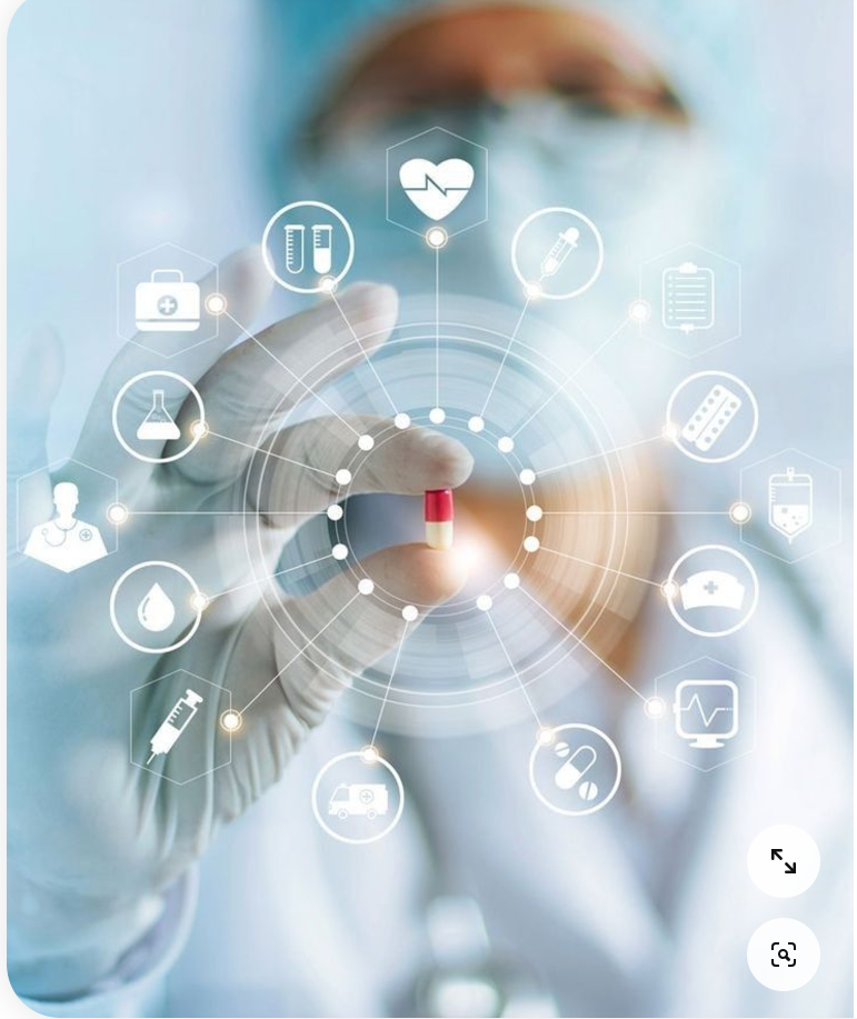 비타민의 기능과 역할