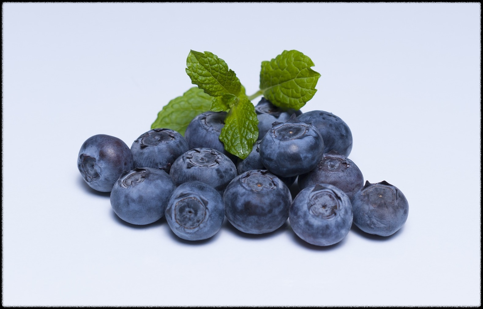 블루베리 효능 이미지_24