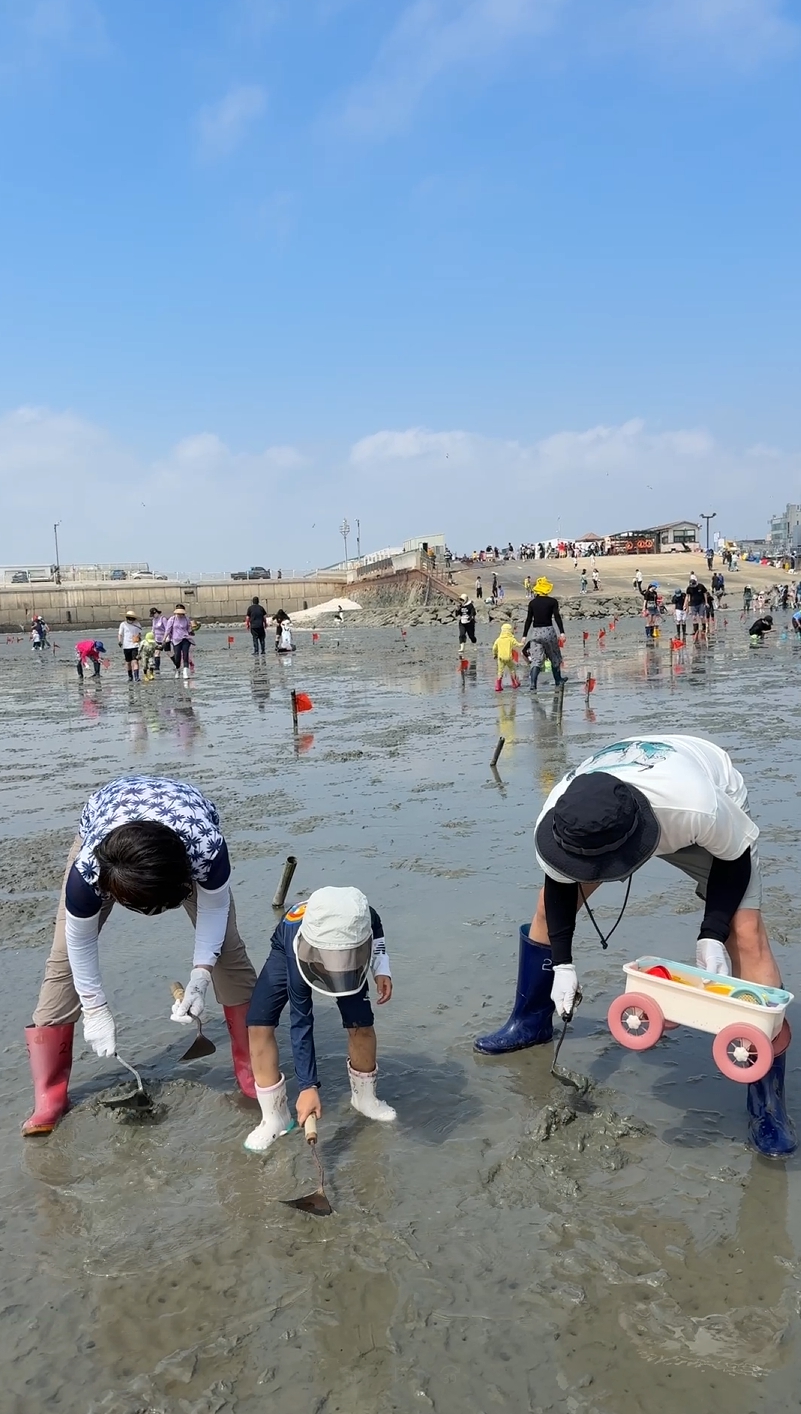 오이도 갯벌체험 꿀팁