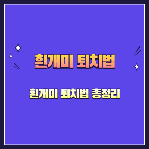 흰개미 완전 정복: 특징부터 피해, 퇴치법까지