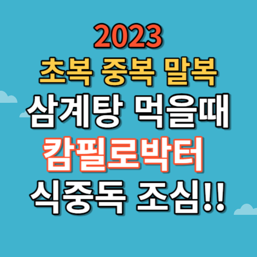 2023 초복 중복 말복 삼계탕 캄필로박터 조심