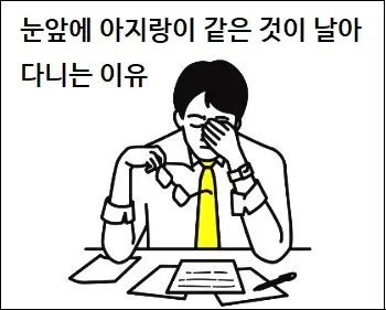 눈앞에 아지랑이 같은 것이 날아다니는 이유