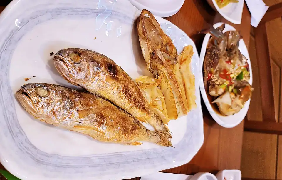 6시내고향 영광 법성포 굴비백반 보리 굴비 정식 맛집 고향기행 고향노포 추천