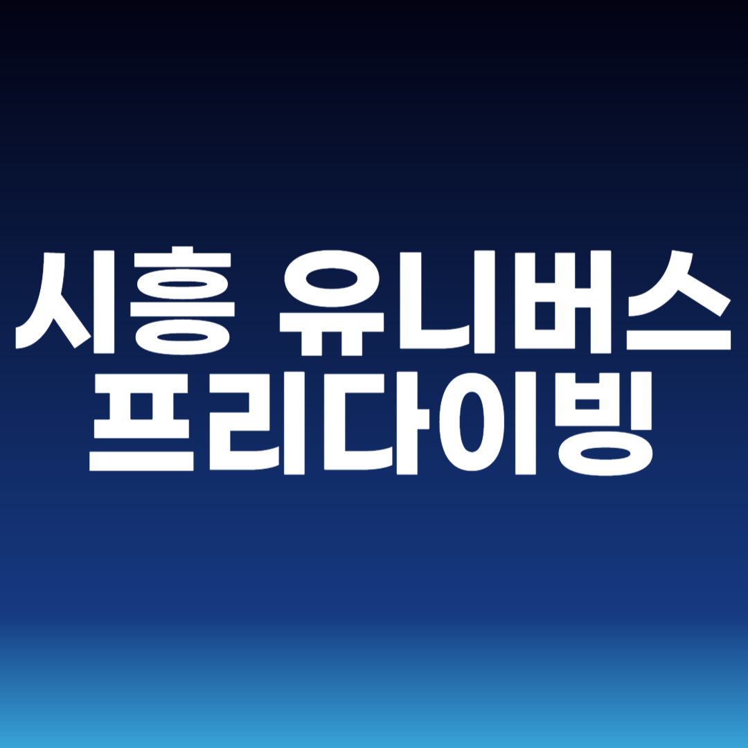 시흥 유니버스프리다이빙