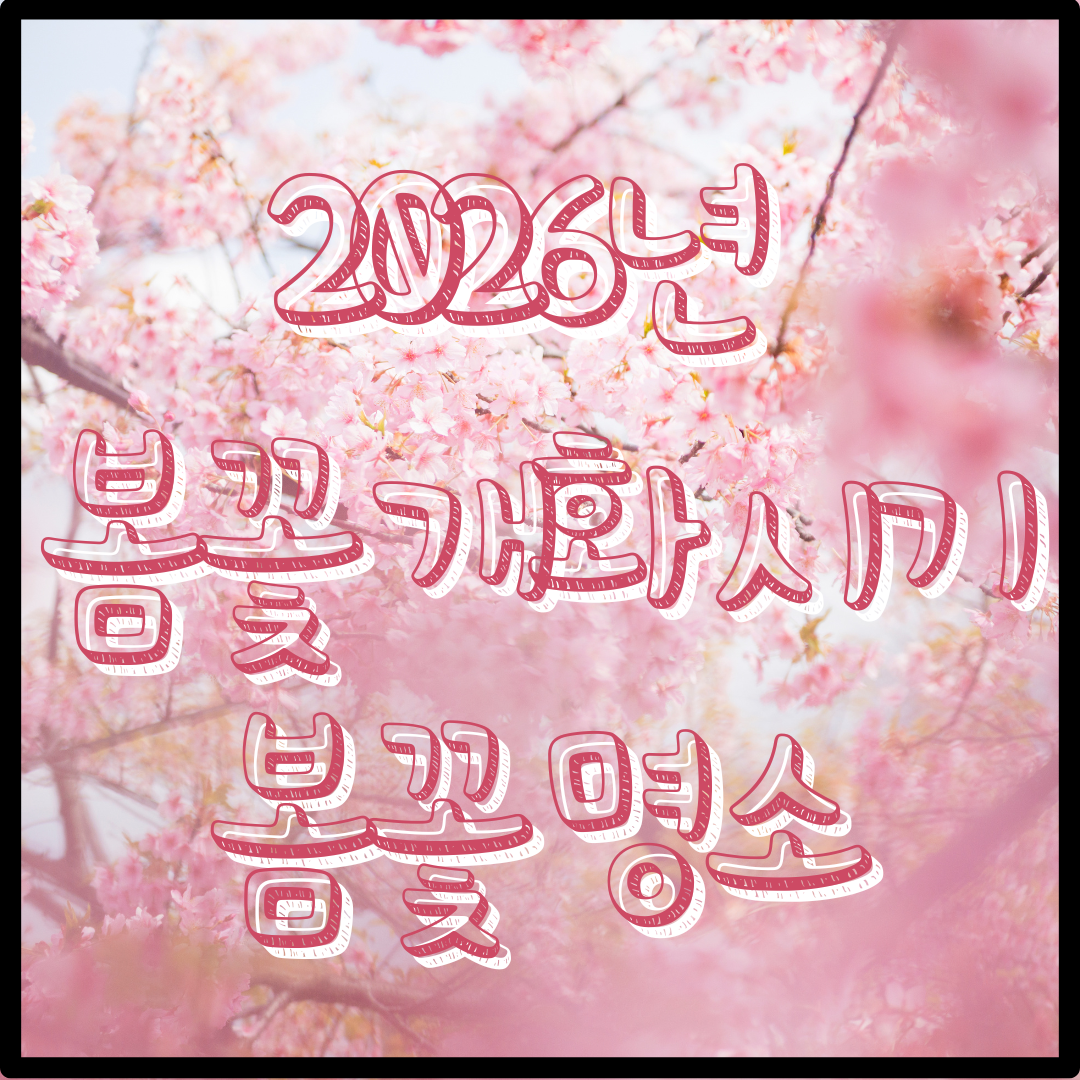 2026년 봄꽃 개화 시기 총정리, 전국 봄꽃 명소 추천