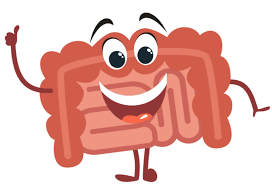 서리태 효능 5가지 검정콩 효능 부작용