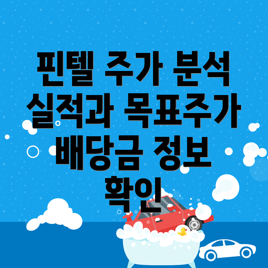 핀텔 주가 전망