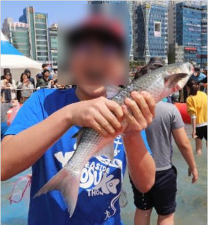 부산 축제 5월 6월 일정