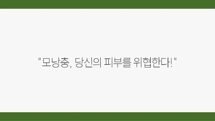 모낭충 증상 및 해결방법, 실제후기