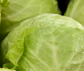 피로회복에 좋은 음식