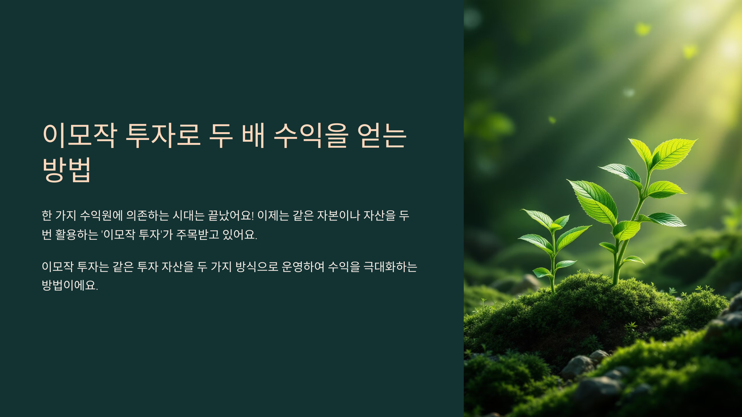 이모작 투자로 두 배 수익을 얻는 방법