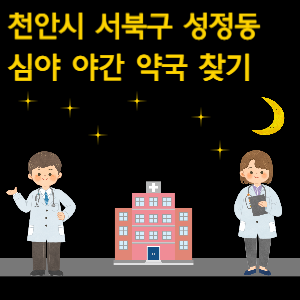 천안시 서북구 성정동 심야 야간 약국 찾기