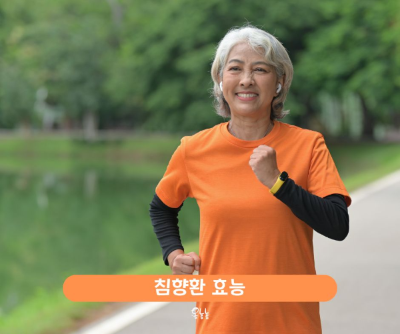 침향환 효능