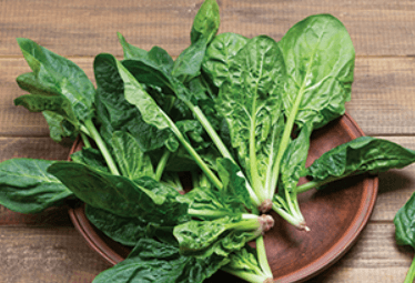 논내장에 좋은 시금치 한국인의 밥상