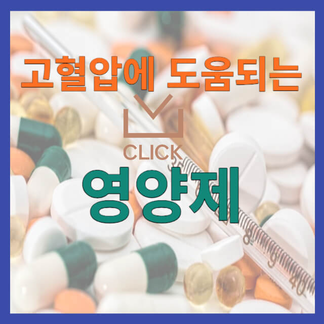 고혈압에 좋은 영양제