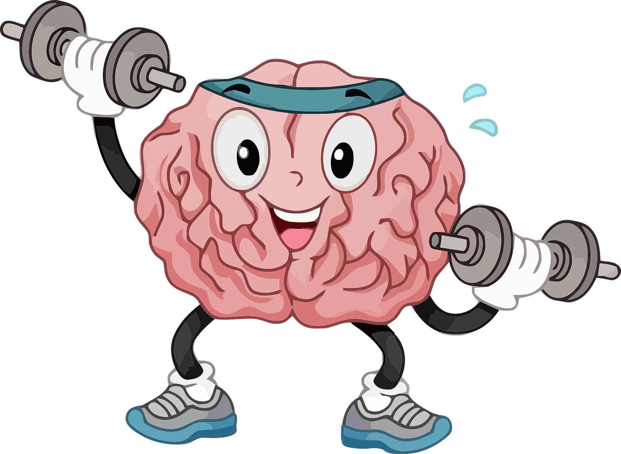 운동이 뇌에 미치는 영향 : 해마의 성장과 기억력 증진