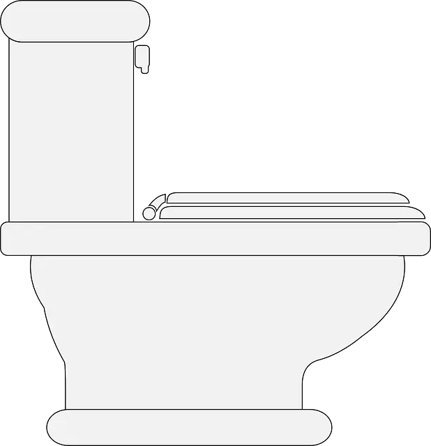 toilet-145803_640