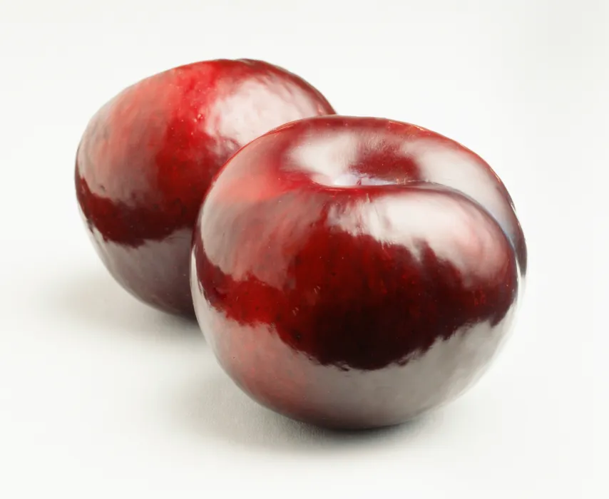 자두-효능과-부작용-하루-섭취량-관련-자두-사진