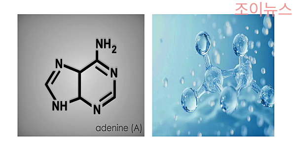 통풍 환자를 위한 식단 가이드, 퓨린함량 낮고, 수분함량 높고!