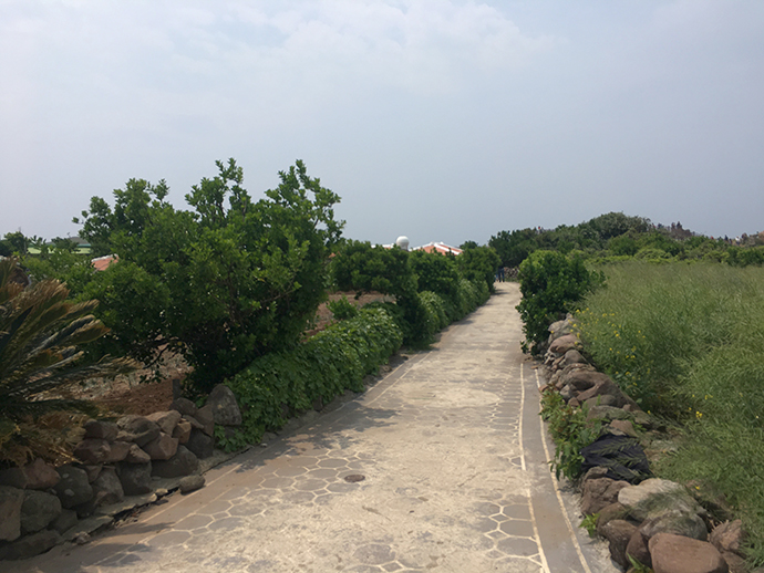 가파도-풍경-자전거-타고-즐기기6