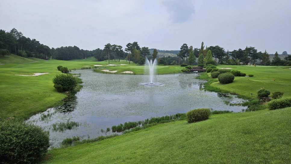 골프장 경험담 여주 세라지오CC 자연 속에서 즐기는 프리미엄 퍼블릭 골프장의 품격