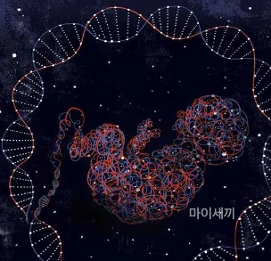 마에스트라 유전병 헌팅턴병 차세음 엄마병 증상 원인 치료방법