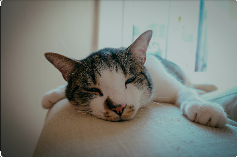 슬리핑보틀로 꿀잠