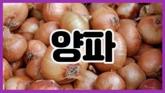nv_양파 효능_19