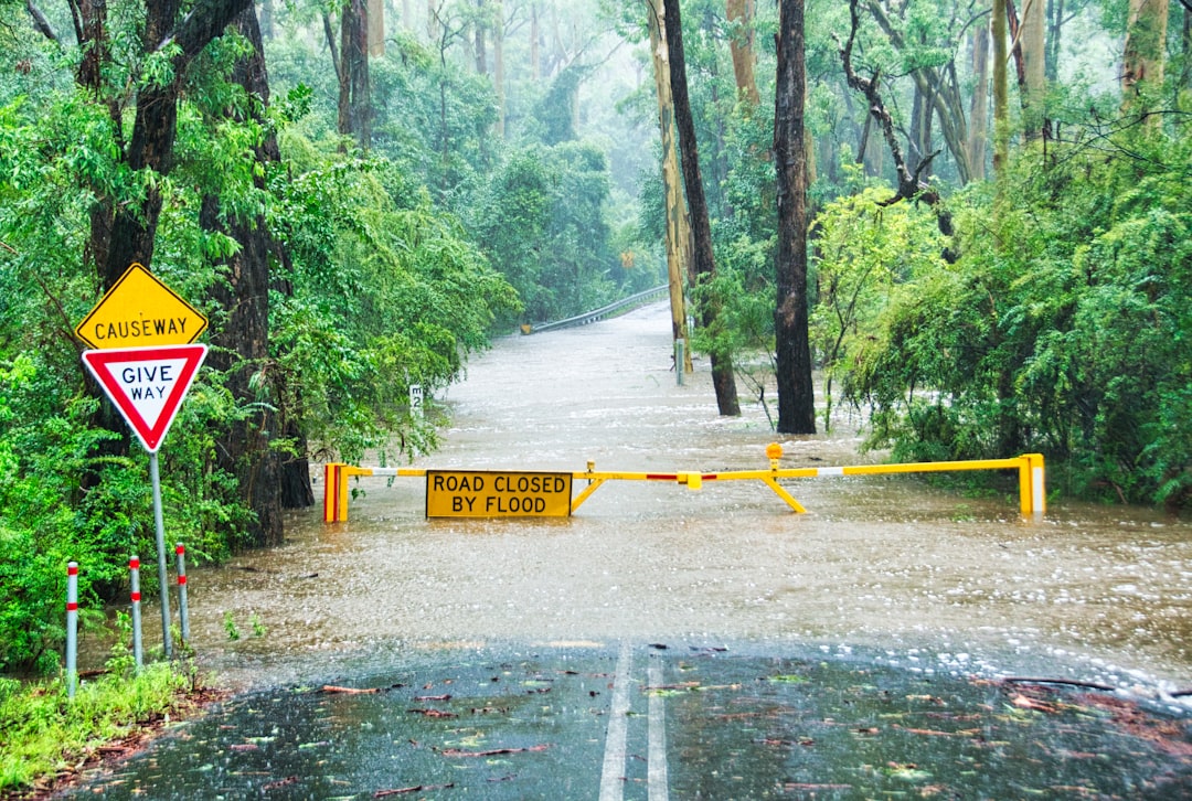 Flood